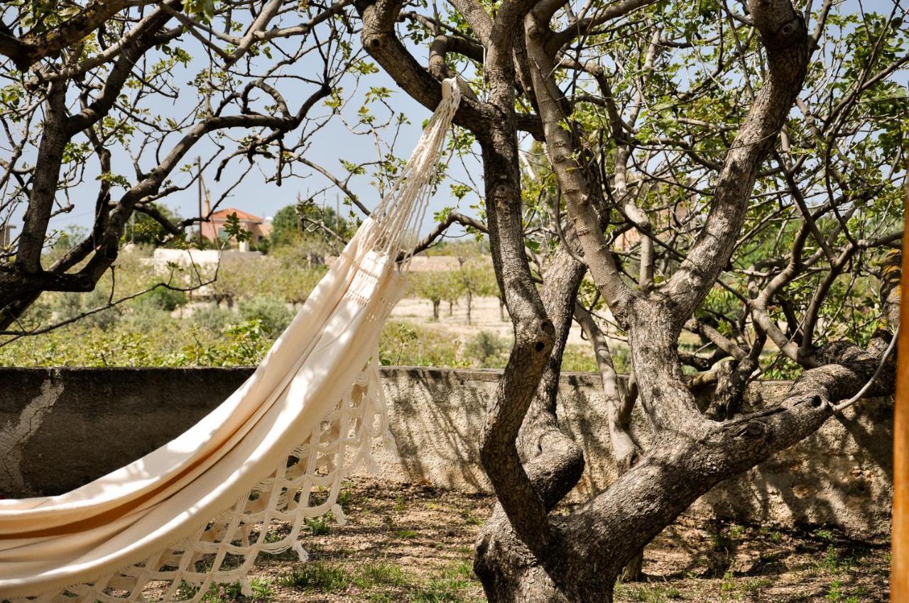 Elena'S Guest House Aegina 외부 사진